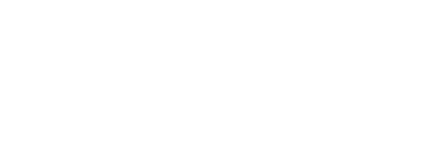 TFM Express logo