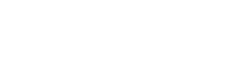 Shaw Insurance Services logo