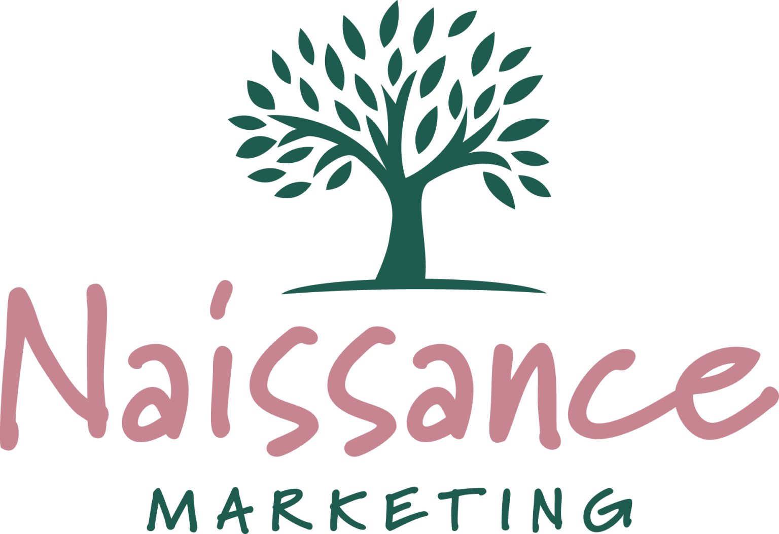 Naissance Marketing logo