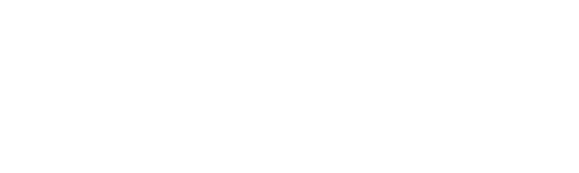 Noisy Trumpet Communications logo