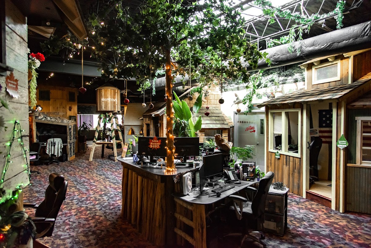 Treehouse Marketing
