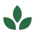 Cambridge Wellness Studio logo