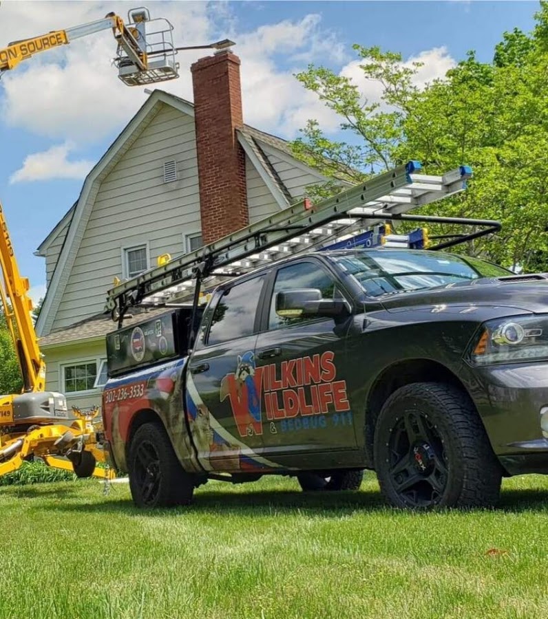 Wilkins Wildlife & Pest Solutions Inc. - North
