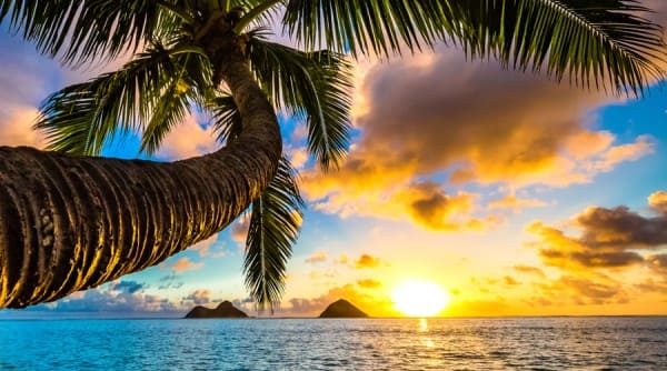 Wow Andaman Travels