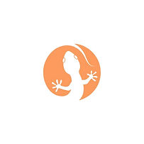 GeckoPR logo
