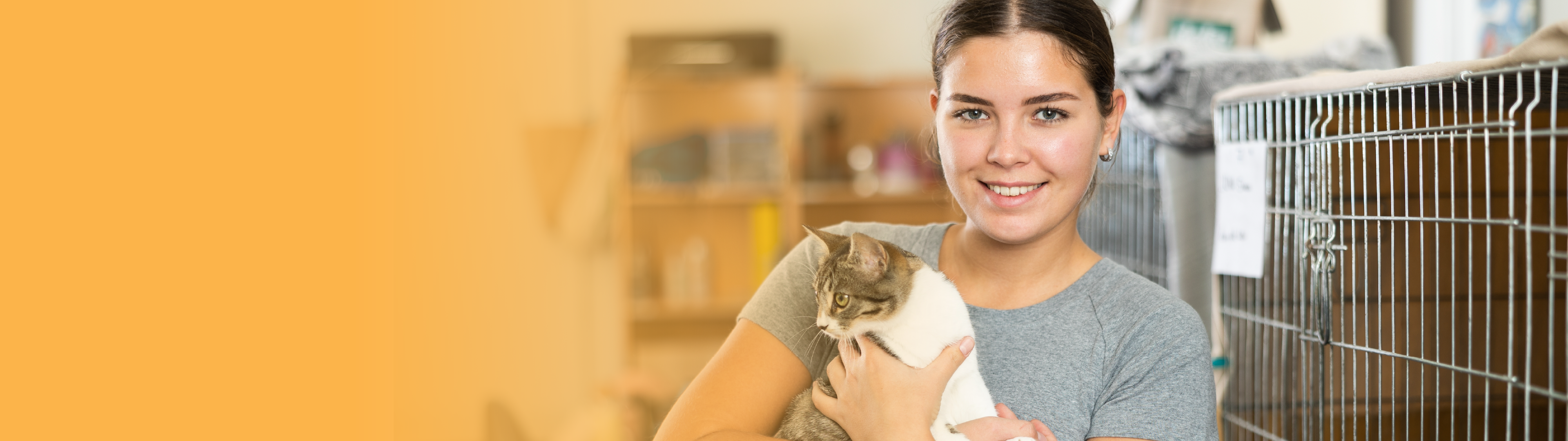 Aurora Animal Care & Control logo