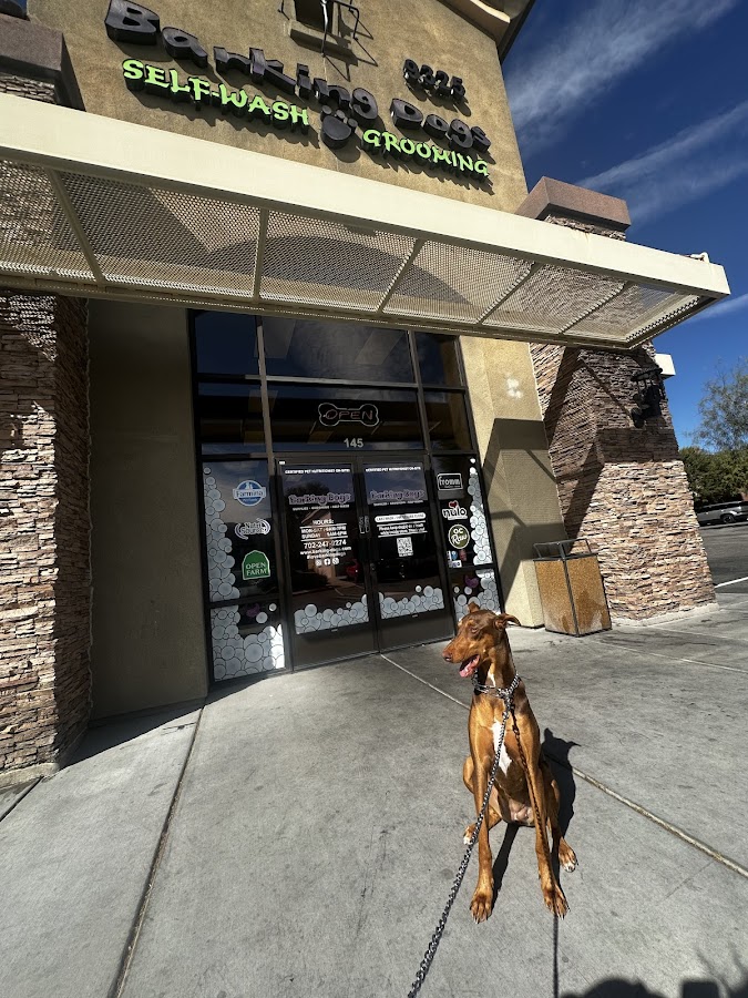 Barking Dogs Self-Wash & Grooming Mountains Edge