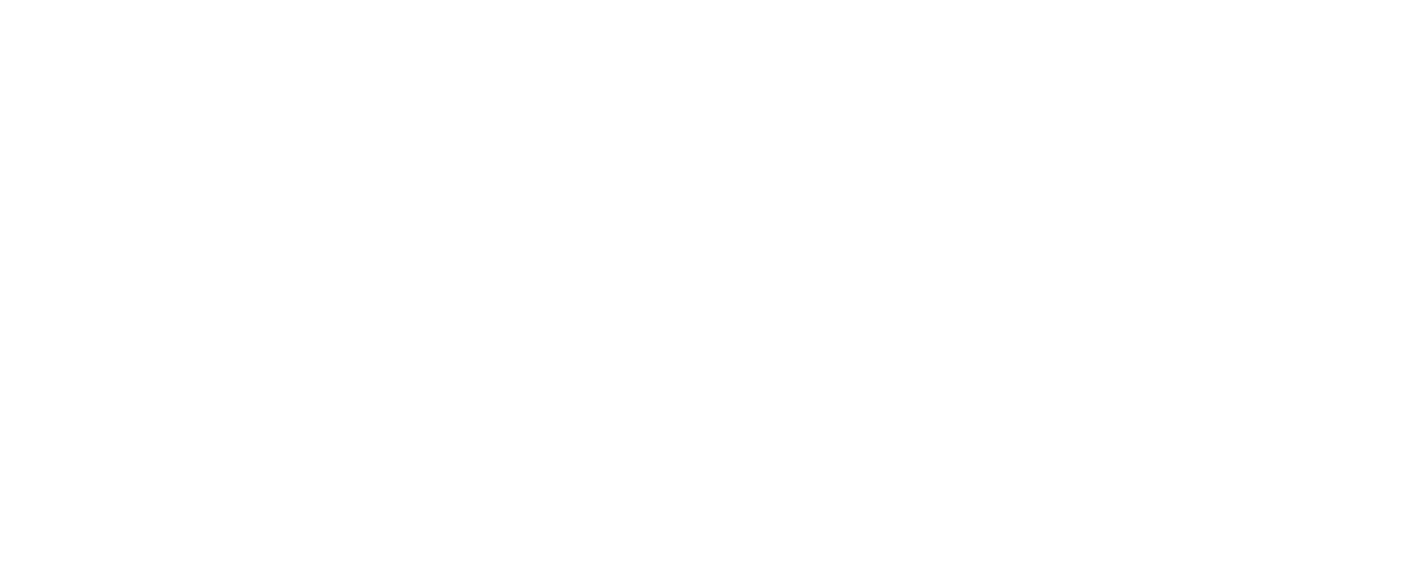 Navigator Blue logo