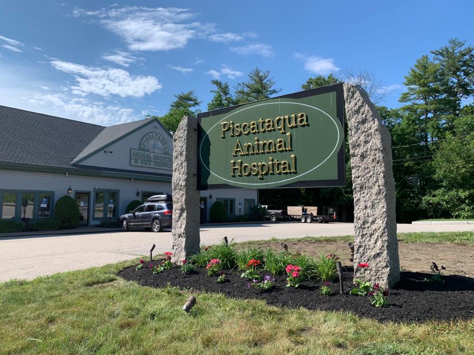Piscataqua Animal Hospital