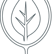 Rooted Health Hormones & MedSpa logo