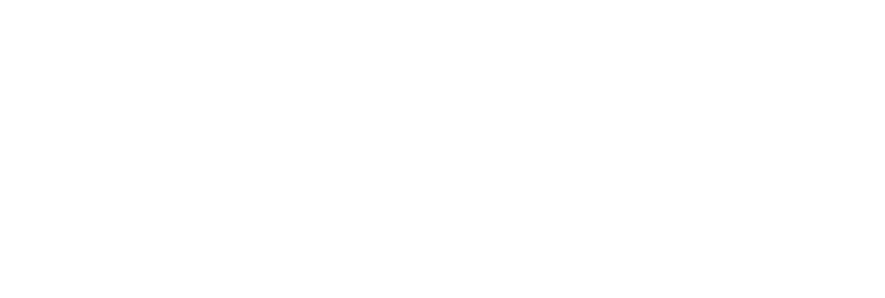 Wahoo Ltd logo