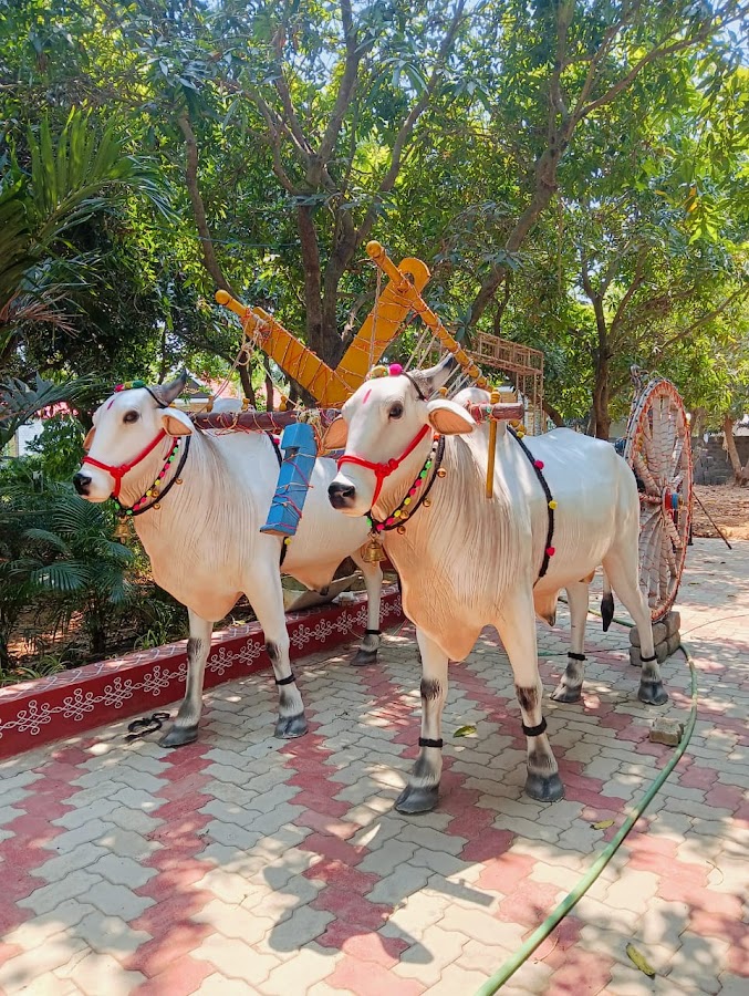 Mango Village Resorts