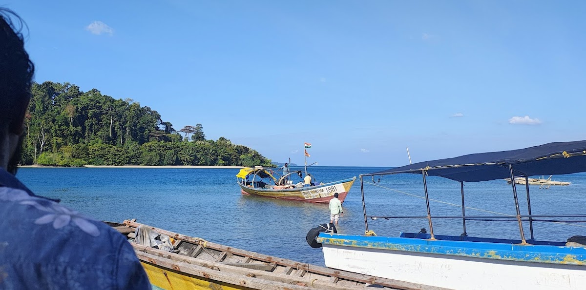 Mad Monkey Tours & Travels