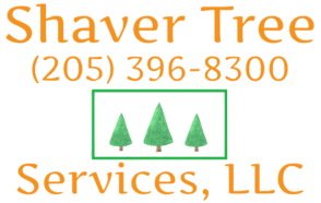 LLC logo