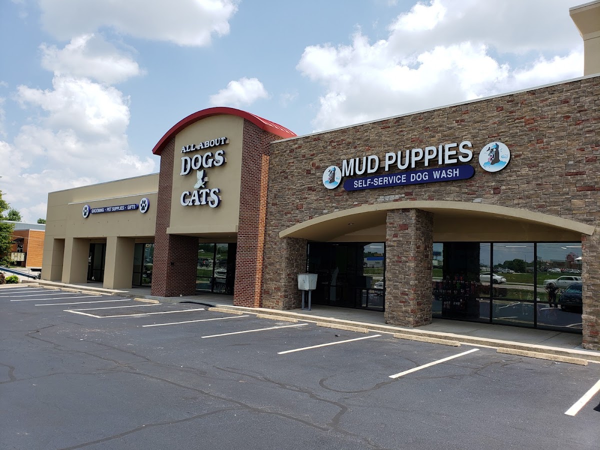 All About Dogs & Cats