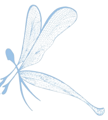 Lacewing Wellbeing logo