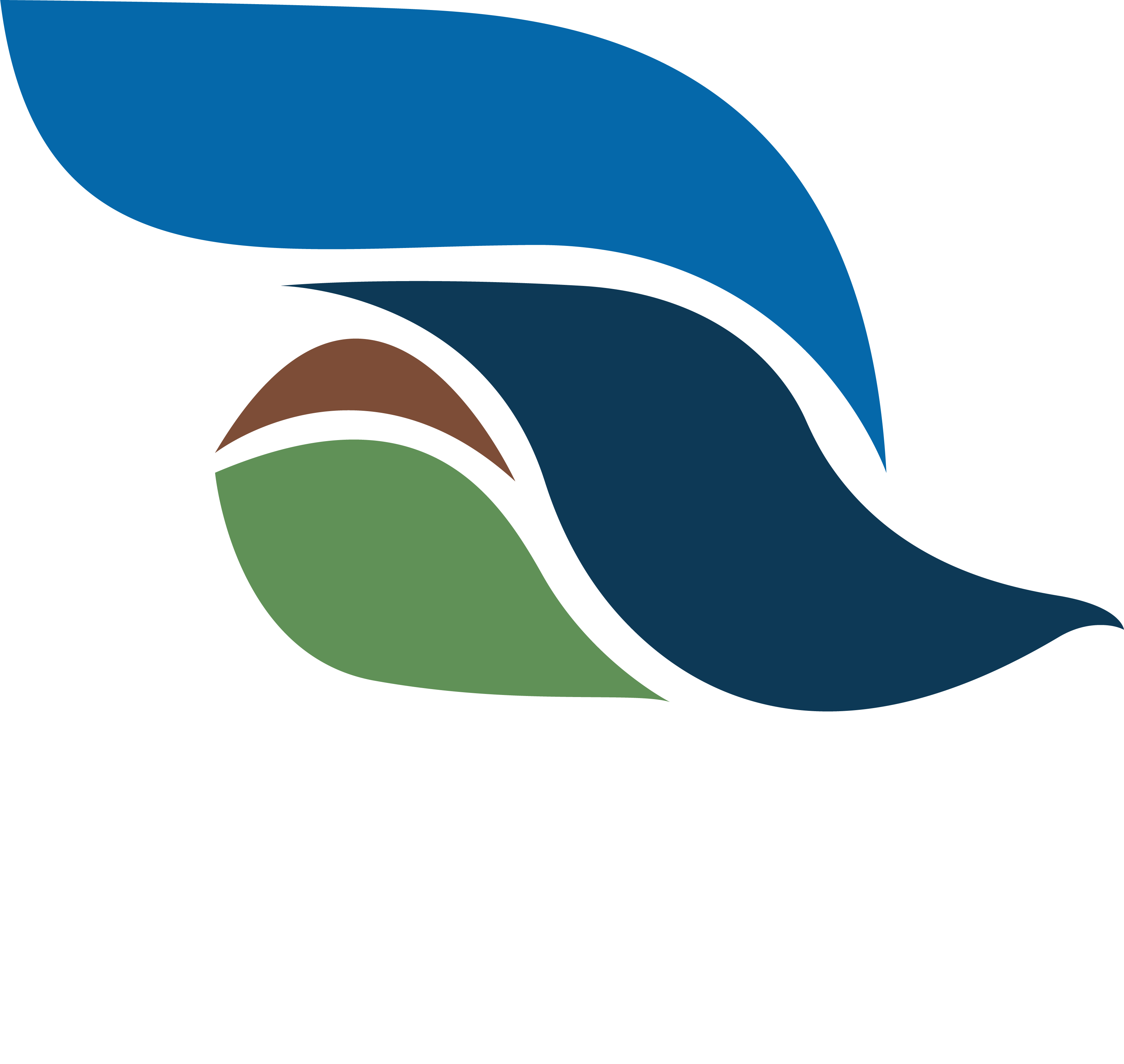 Blue Line Environmental Services L.L.C logo