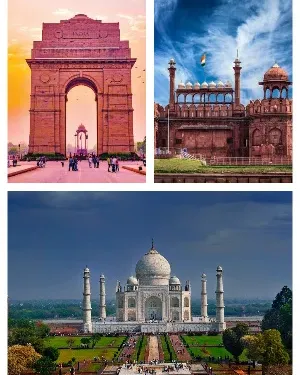 Optima Travels photo 3