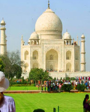 Optima Travels photo 4