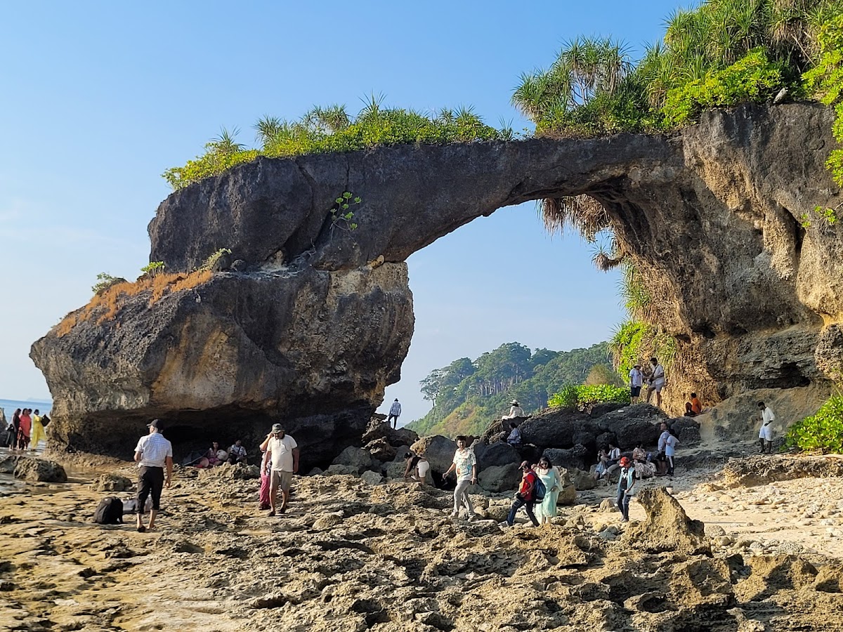 Bharat Transport And Tourism