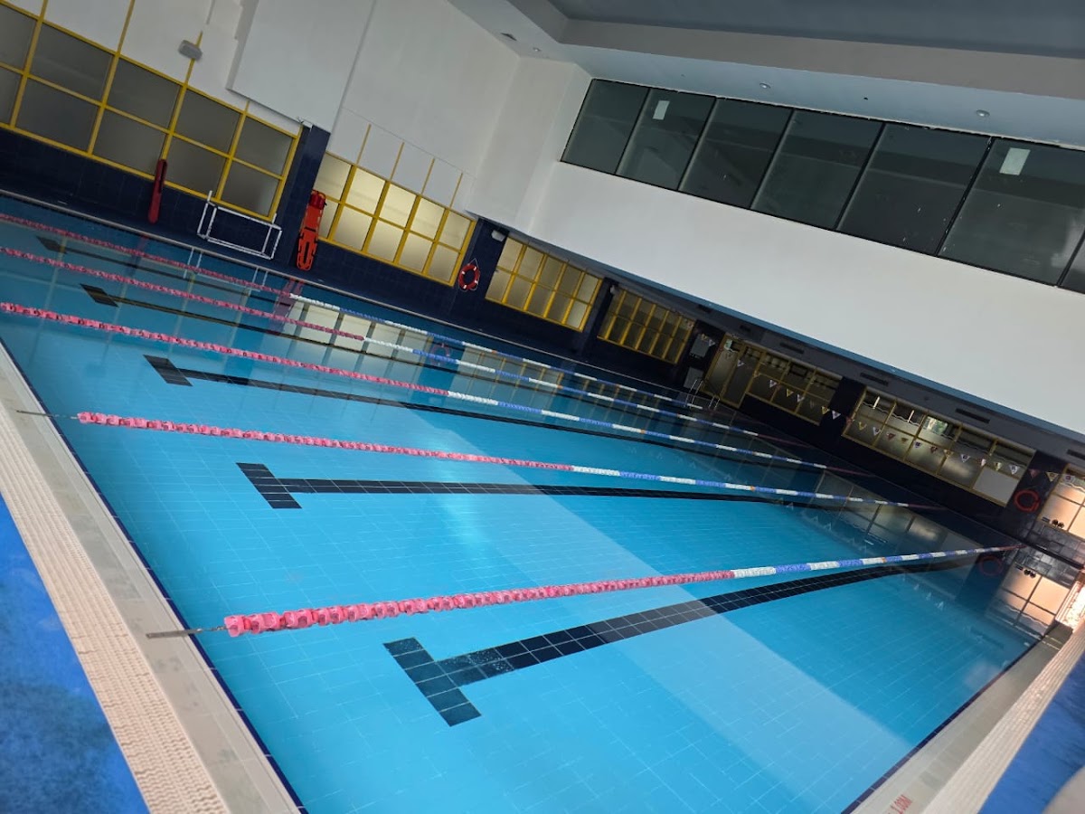 Pearl Blue Zone_ Swimming Pool Cleaning & Maintenance