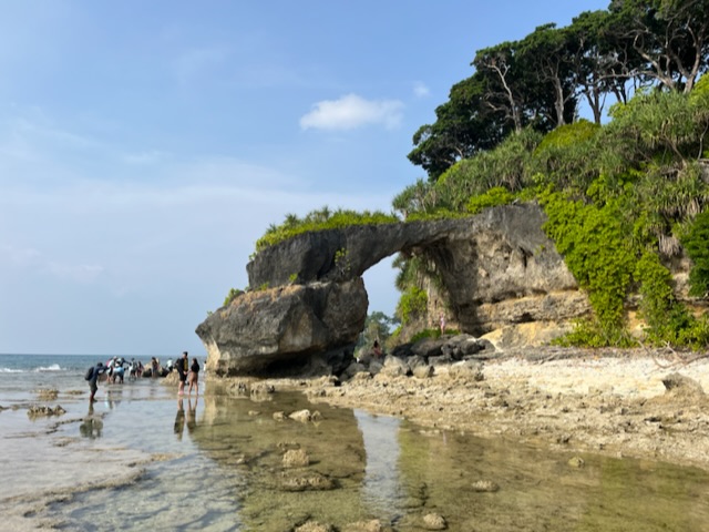 Discover Andaman Holidays Pvt Ltd | Andaman's No.1 Local Tour Operator Approved by Ministry of Tourism, GOI