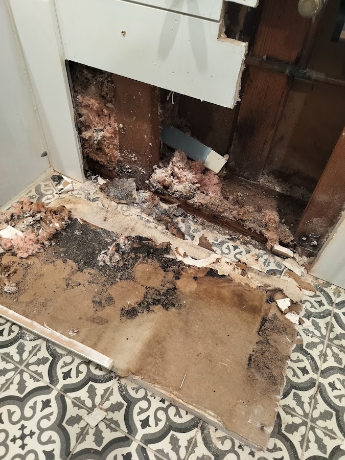 Pure Maintenance Arizona: Mold Testing & Mold Removal Specialists