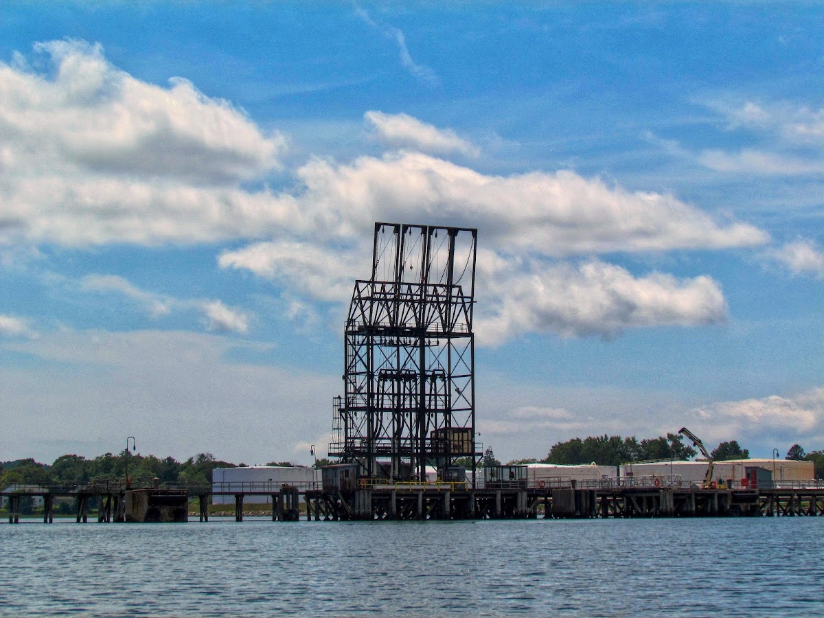 Turner Island LLC