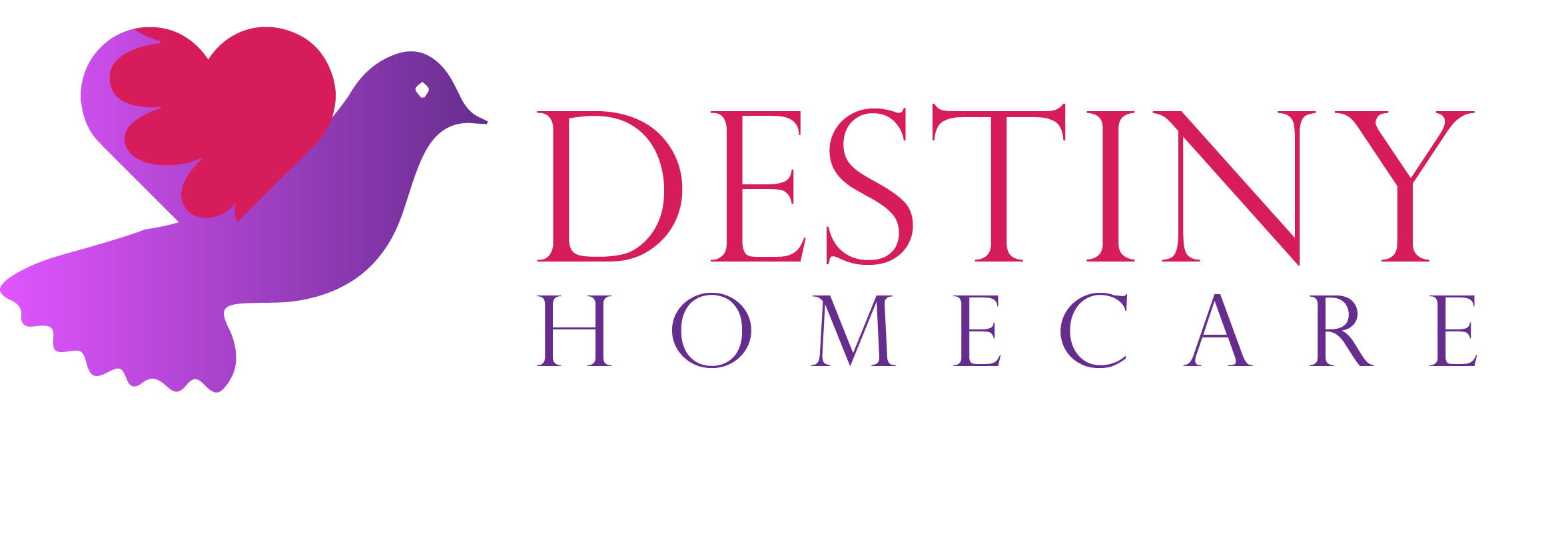 Destiny HomeCare LLC logo