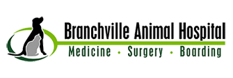 Branchville Animal Hospital logo