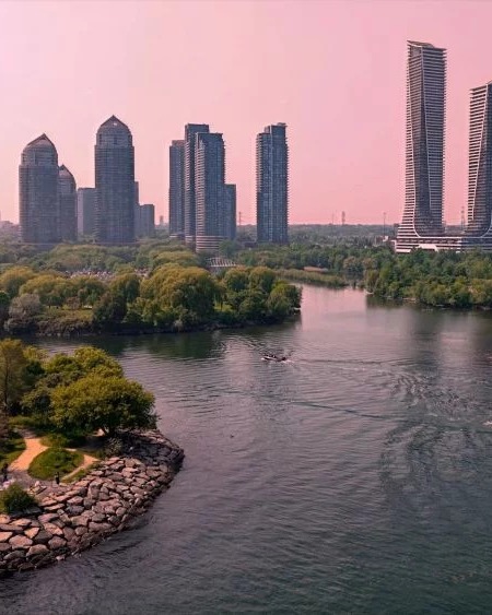Gold Media photo 4