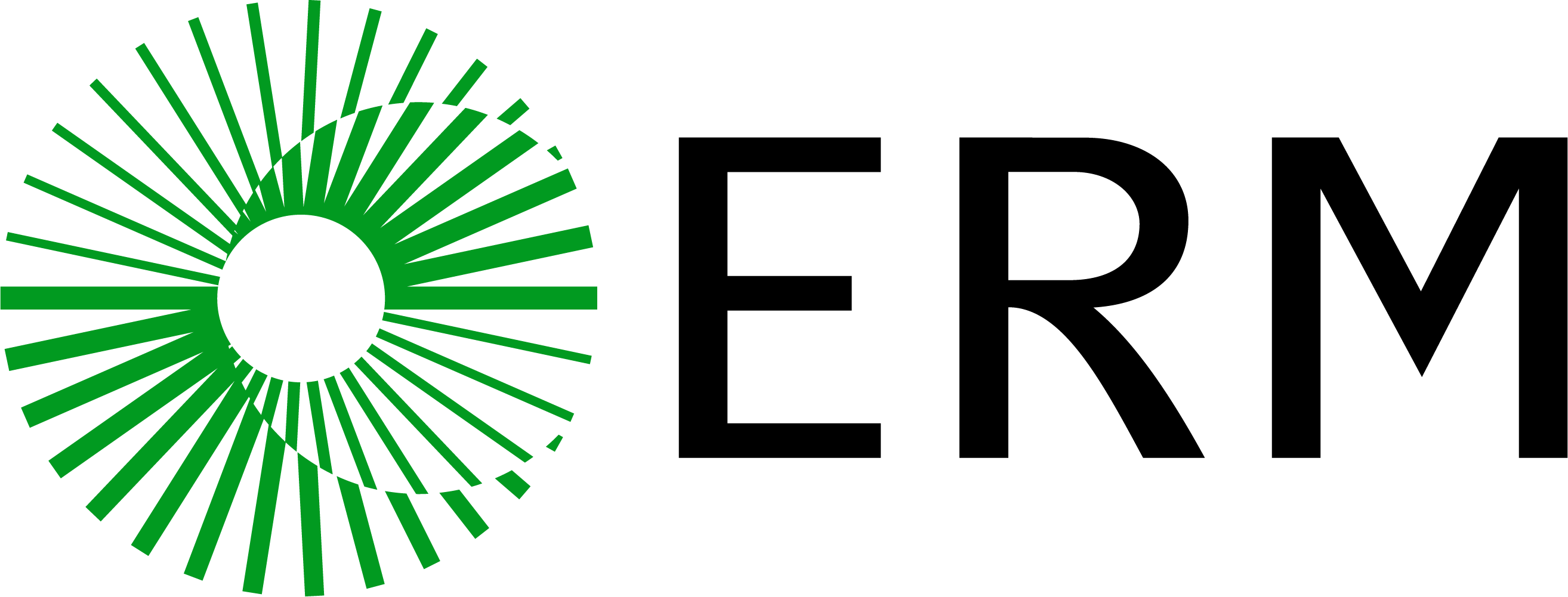Erm logo