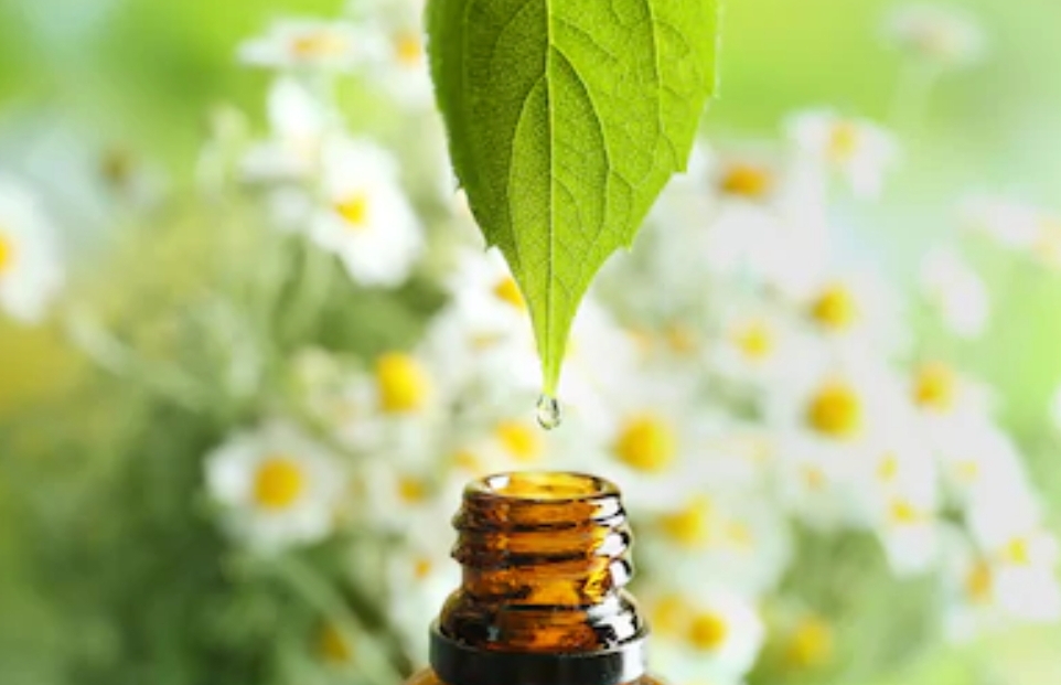 The Healing Power of Flowers Heaven and Earth Wellness Center