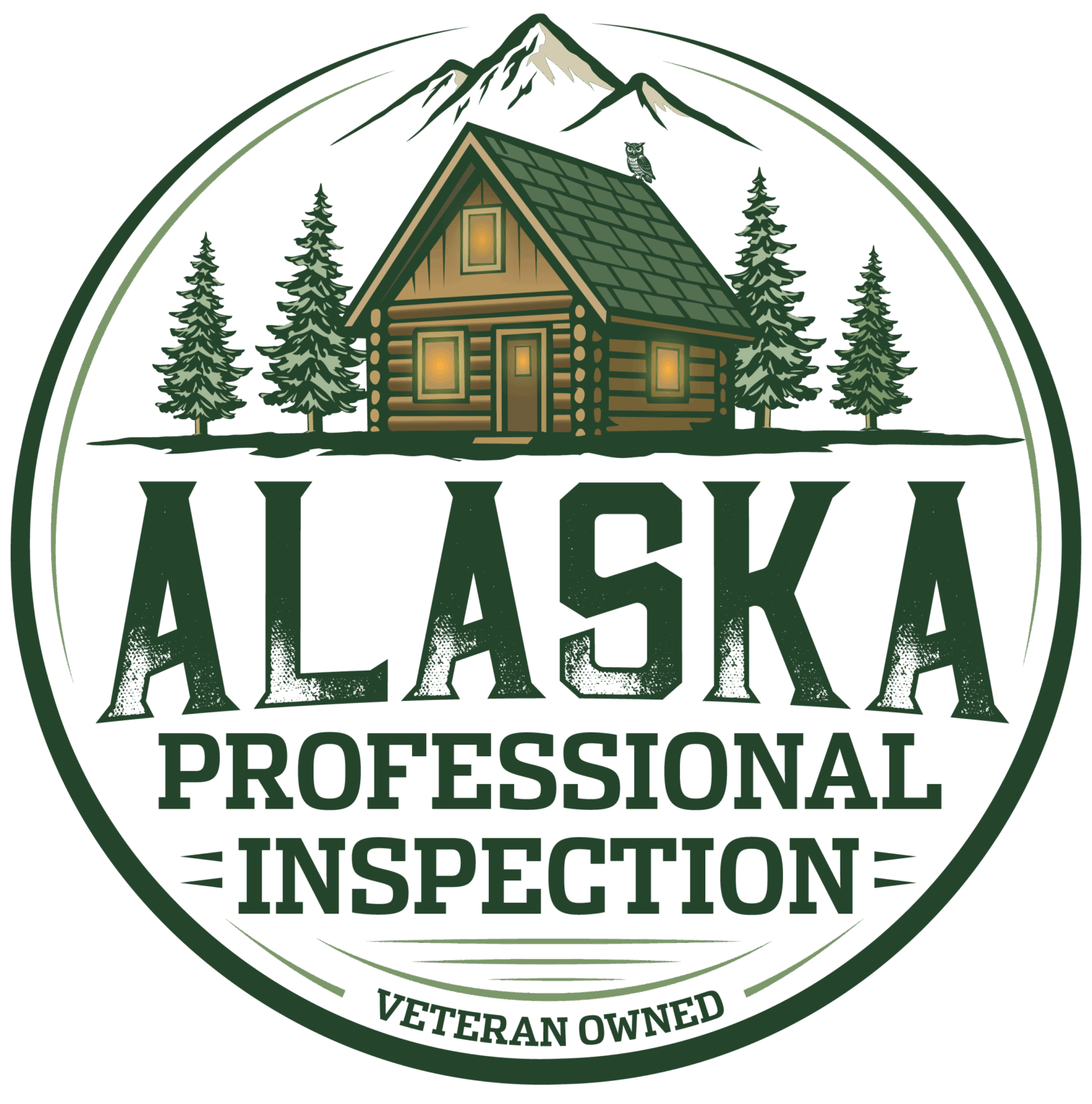 Alaska Professional Inspection logo