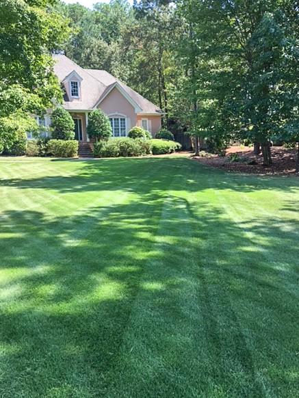 Chelsea Lawn Care & Landscaping by Deep Green Lawn Care logo