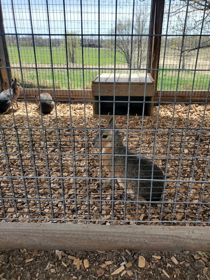 Trowbridge Creek Zoo