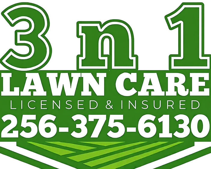 3n1 lawncare logo