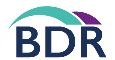 BDR Group Ltd logo