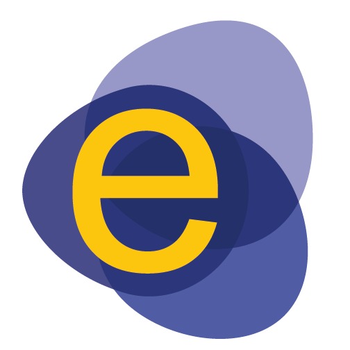 E SERVICES & CO