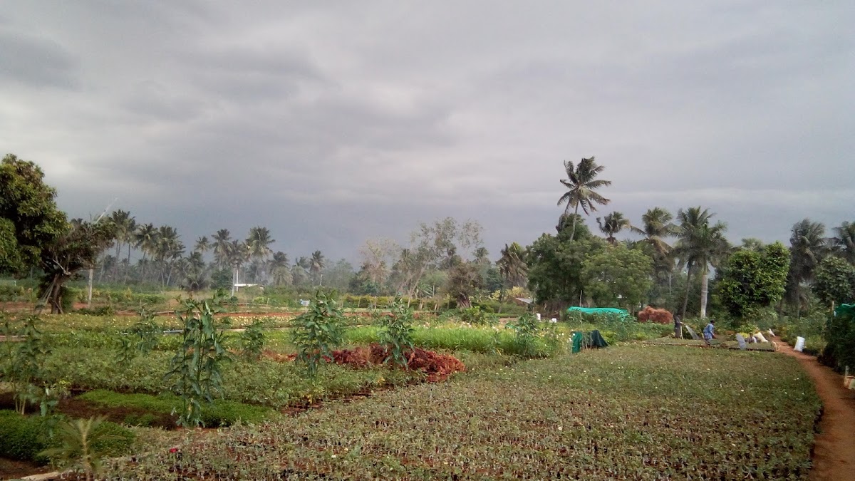 PB Nursery - Make Earth Greener