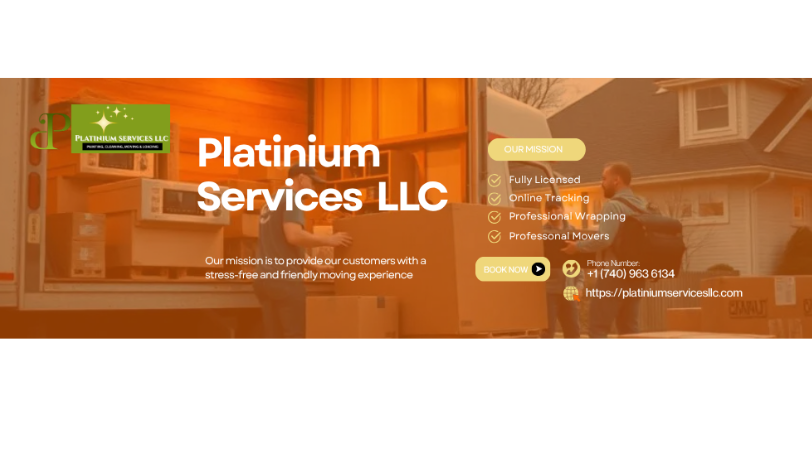 Platinium Services LLC