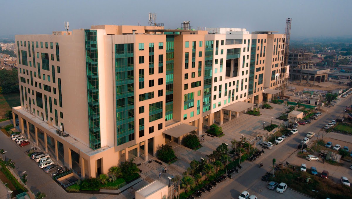 DigiWolves - Digital Marketing Agency Chandigarh and Mohali