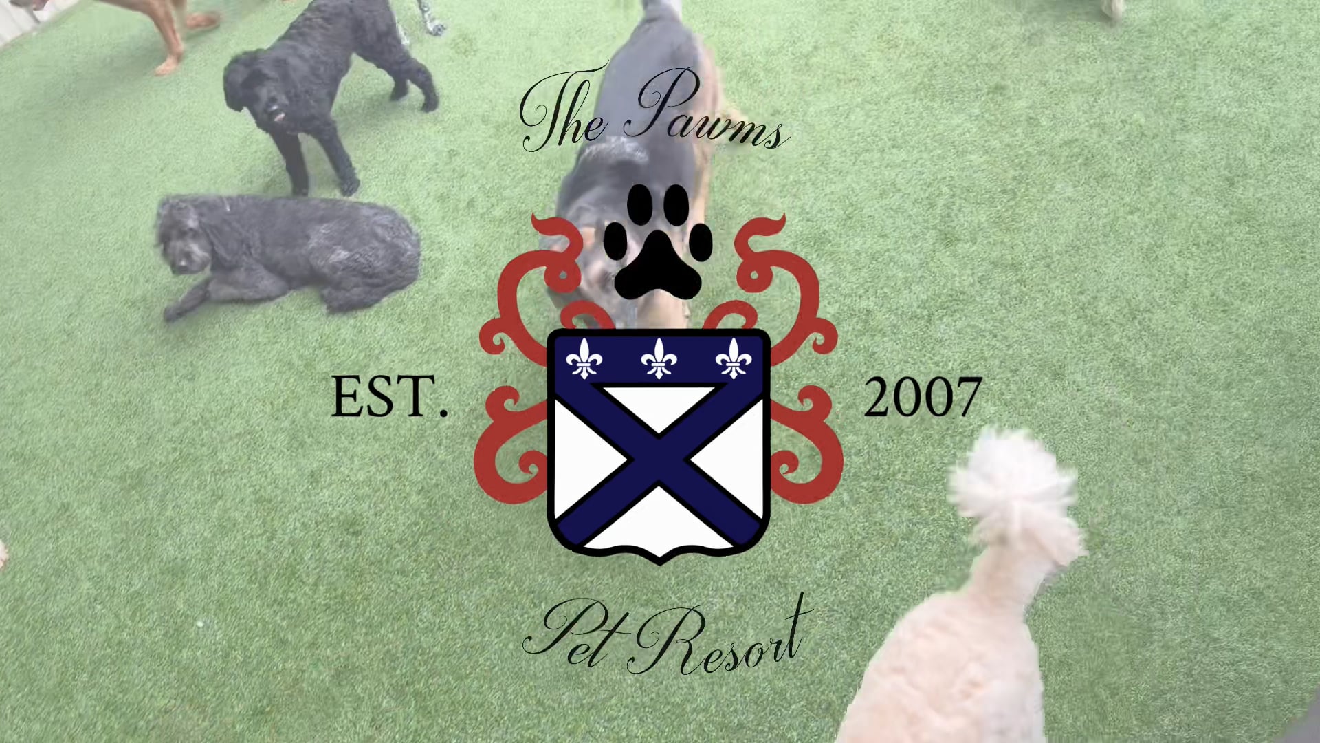 The Pawms Pet Resort Vestavia Hills logo