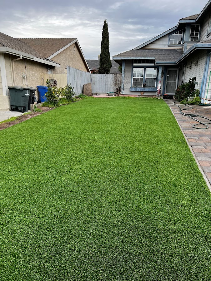 Ocean View Tree And Landscaping Services