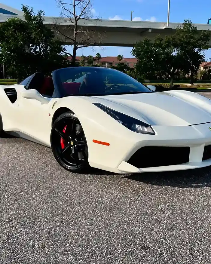 Tampa Bay Exotic Car Rentals photo 2