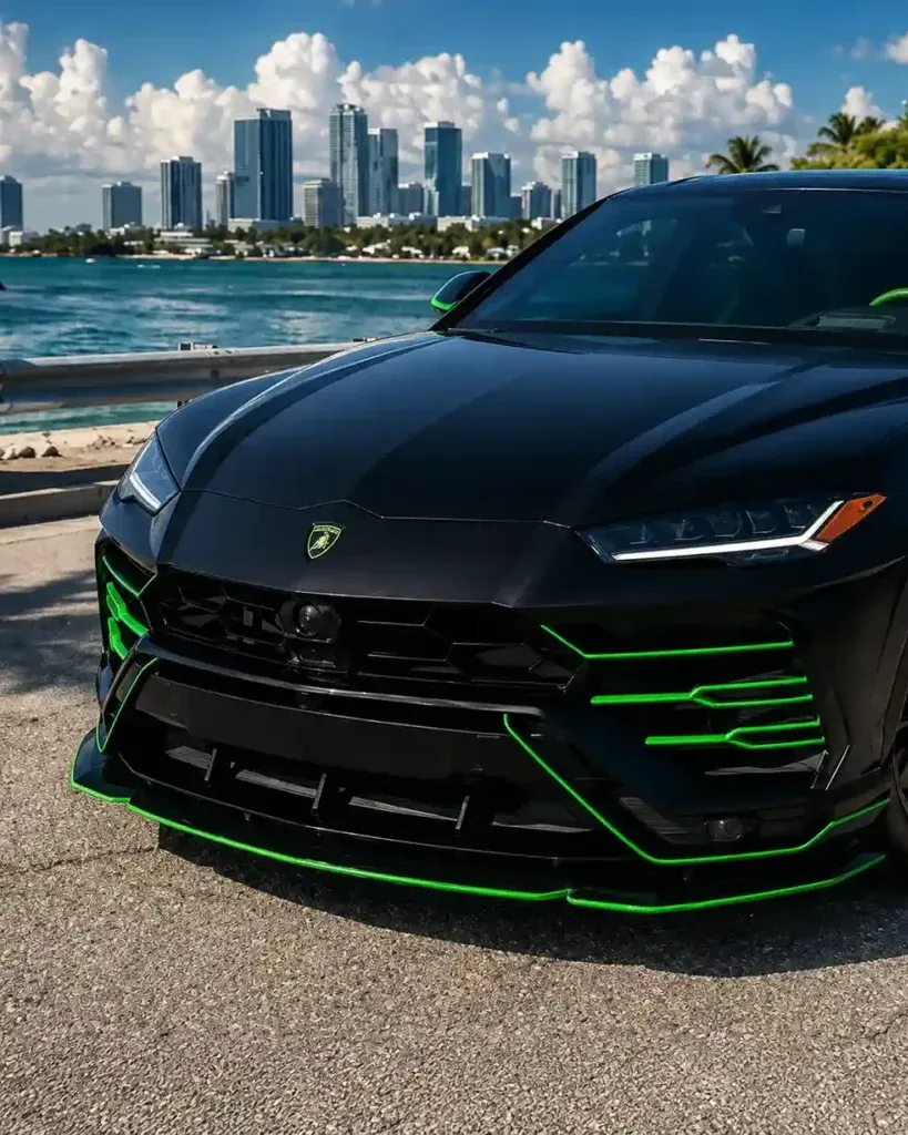 Tampa Bay Exotic Car Rentals photo 1