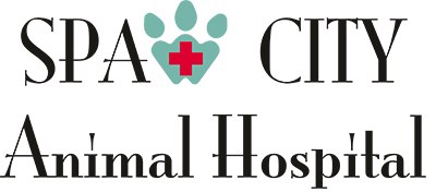 Spaw City Animal Hospital logo