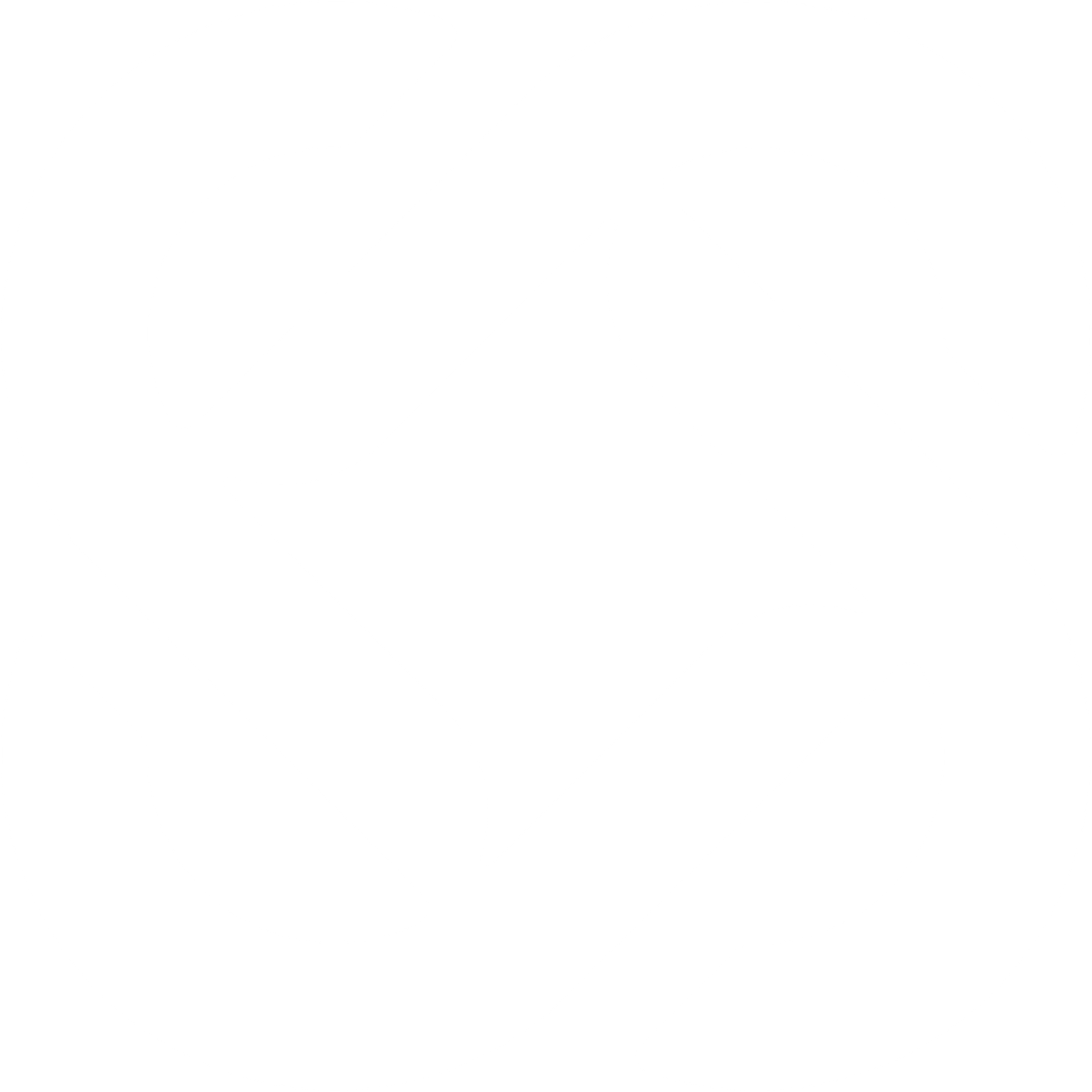 Santa Barbara Healthcare logo