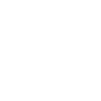 Ben Austin & Associates LLC logo