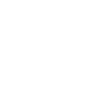 Emblem Home Care logo